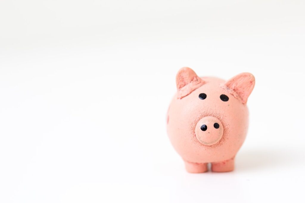 Photo Money psychology: Brain and wallet