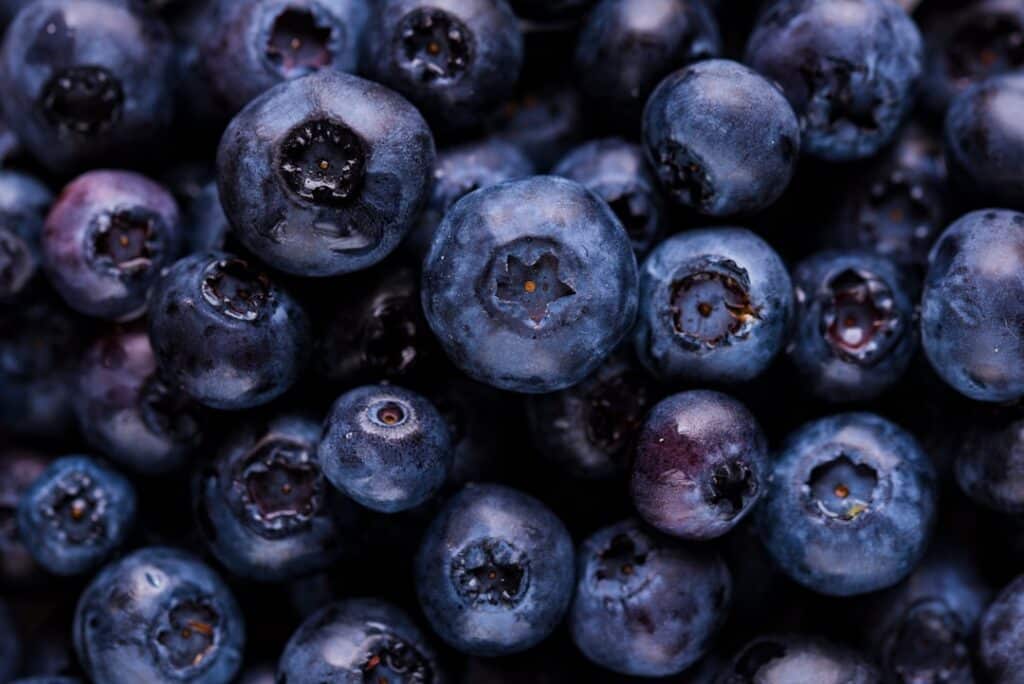 Photo City Farming: Future Agriculture Nouns: City, Farming, Future, Agriculture, Food Production