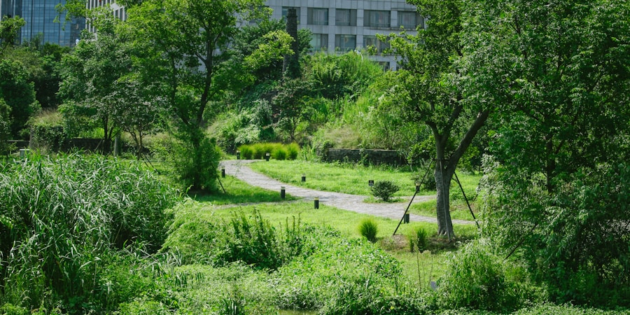 Photo The Importance of Green Spaces in Urban Areas