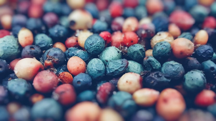 Photo "Nutrition for the Mind: Brain Foods that Boost Your Productivity"