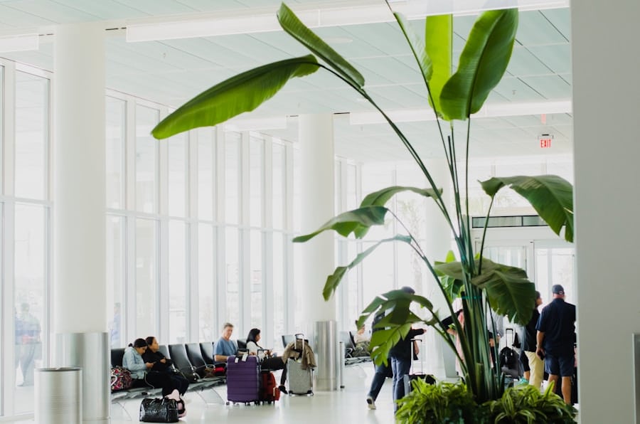 Photo "Green Travel: How Sustainability is Transforming the Travel Industry"