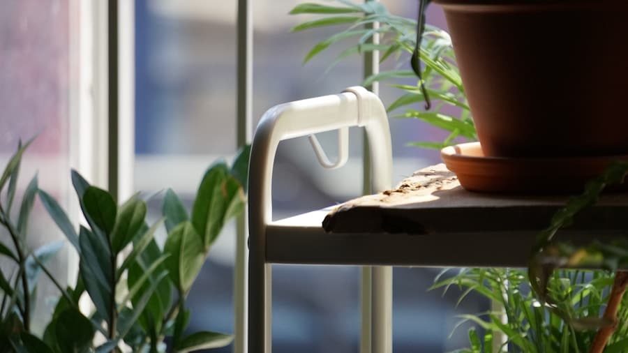 Photo Urban Jungle: Integrating Plants into Your Daily Life