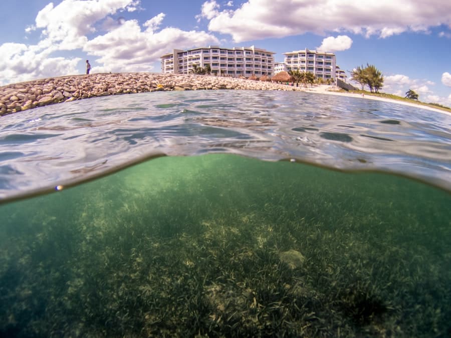 Marine Conservation