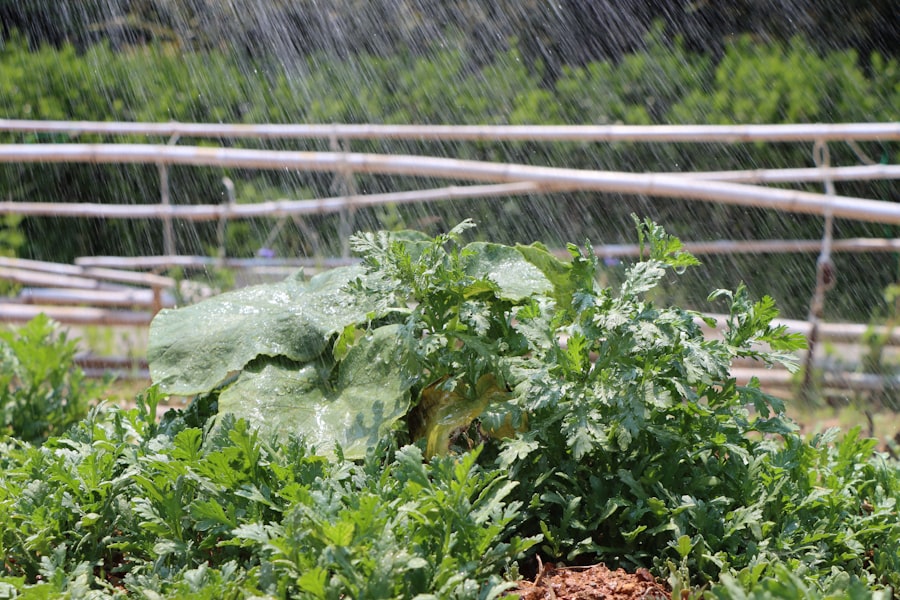 Drip Irrigation