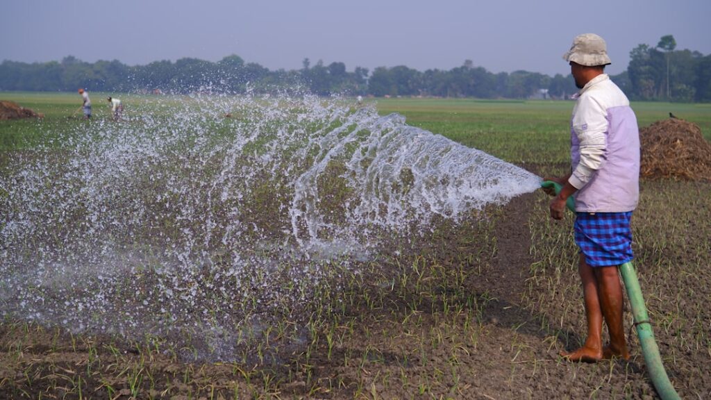 Photo Drip Irrigation