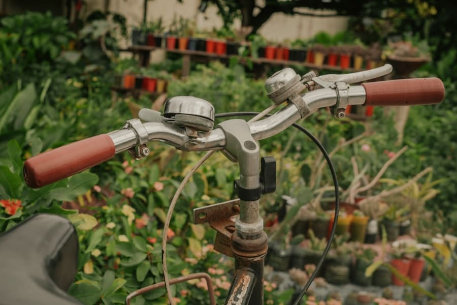 Photo Drip Irrigation