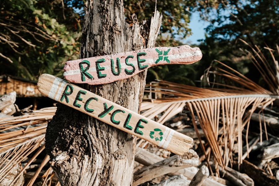 Photo Recycling